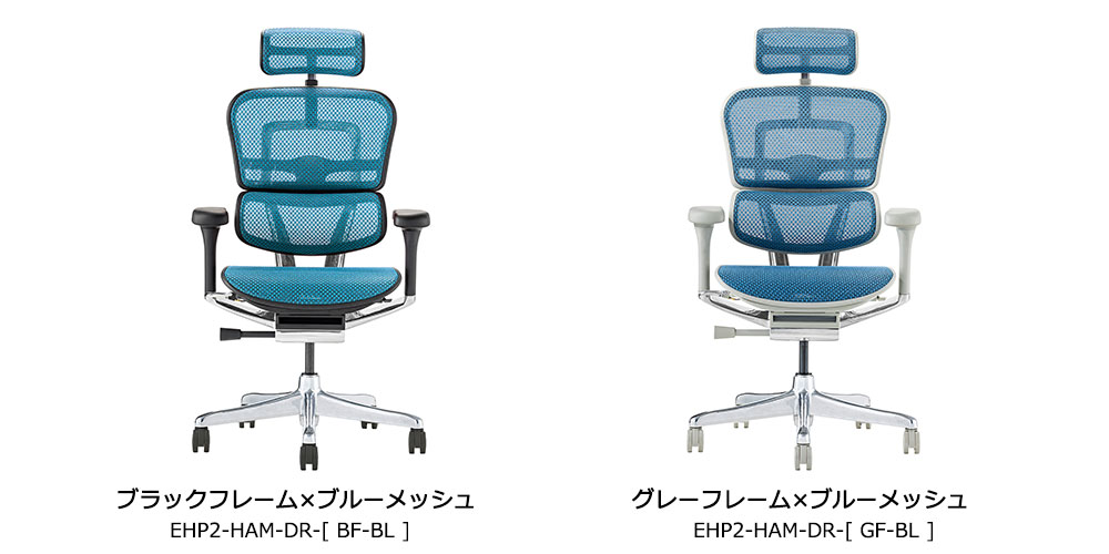 ブルーメッシュ EHP2-HAM-DR-BF/GF-BL
